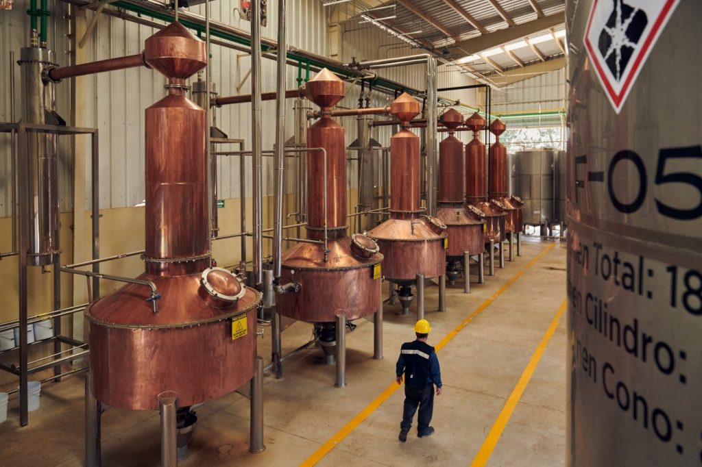 Fermentación y destilación destilería Casa Real NOM 1468